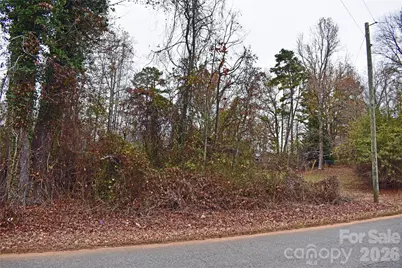 00 Horseshoe Lake Road, Lincolnton, NC 28092 - Photo 5