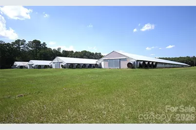 8280 Henry Gibson Road, Gibson, NC 28343 - Photo 3