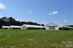 8280 Henry Gibson Rd, Gibson, NC 28343 - Photo 1