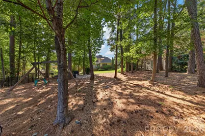 9605 White Hemlock Lane, Charlotte, NC 28270 - Photo 39
