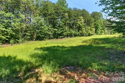316 Oak Grove Road, Landrum, SC 29356 - Photo 33