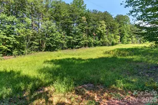 316 Oak Grove Rd, Landrum, SC 29356 - Photo 33