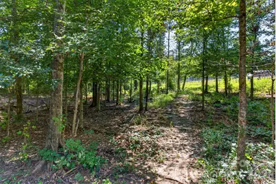 316 Oak Grove Road, Landrum, SC 29356 - Photo 31