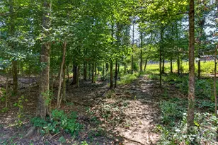 316 Oak Grove Rd, Landrum, SC 29356 - Photo 31
