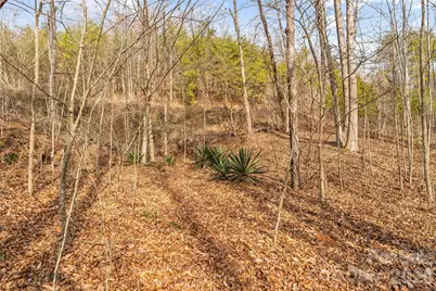 173 & 207 Deer Creek Trail, Statesville, NC 28677 - Photo 17