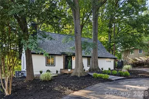 1068 Gauguin Ln, Tega Cay, SC 29708 - Photo 5
