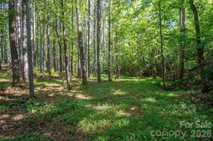1551 Brevard Place Rd, Iron Station, NC 28080 - Photo 45
