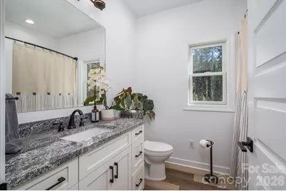 1551 Brevard Place Road, Iron Station, NC 28080 - Photo 19