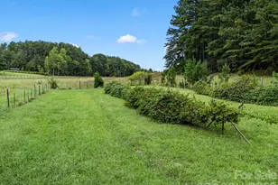 1164 Garrett Rd, Mill Spring, NC 28756 - Photo 33
