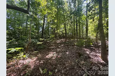3924 Deer Run Drive NE, Conover, NC 28613 - Photo 19