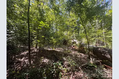 3924 Deer Run Drive NE, Conover, NC 28613 - Photo 13