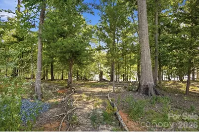 17446 Chaco Lane, Charlotte, NC 28278 - Photo 37