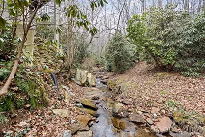 175 Overlook Drive, Flat Rock, NC 28731 - Photo 47