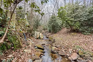 175 Overlook Dr, Flat Rock, NC 28731 - Photo 47