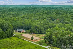 160 Palomino Trail, Mount Holly, NC 28120 - Photo 3