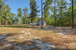 112 E Jimmy St, Candor, NC 27229 - Photo 37