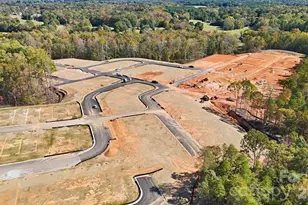 3921 Clemson Alley, Indian Land, SC 29707 - Photo 17