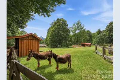 65 Airish Lane, Waynesville, NC 28785 - Photo 41