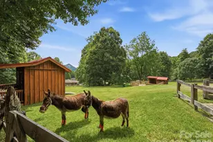 65 Airish Ln, Waynesville, NC 28785 - Photo 41