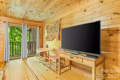 55 Observation Point Road, Bryson City, NC 28713 - Photo 11