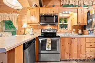 9 Candyland Ct, Candler, NC 28715 - Photo 11