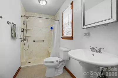 230 Blythewood Drive, Hendersonville, NC 28792 - Photo 29