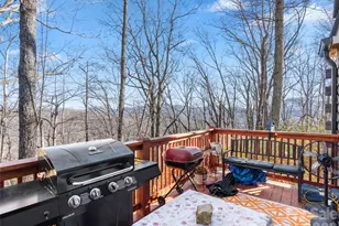 252 Idylwild Ln, Black Mountain, NC 28711 - Photo 25