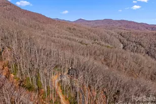 252 Idylwild Ln, Black Mountain, NC 28711 - Photo 39
