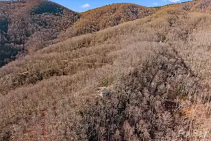 252 Idylwild Ln, Black Mountain, NC 28711 - Photo 37