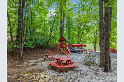 566 Nathan McDaniel Drive, Nebo, NC 28761 - Photo 39