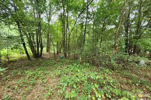134 Stedman Rd, Dallas, NC 28034 - Photo 29