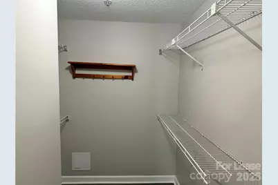 18771 Vineyard Point Lane, Cornelius, NC 28031 - Photo 19