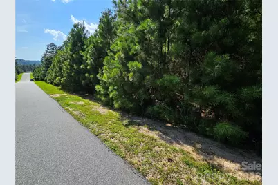 Tbd Coveside Drive #149, Granite Falls, NC 28630 - Photo 1