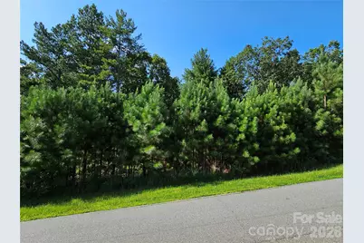 Tbd Coveside Drive #149, Granite Falls, NC 28630 - Photo 3