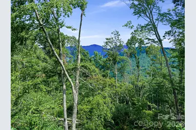 000 Winterberry Road #25, Burnsville, NC 28714 - Photo 5
