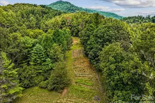 427 Hardscrabble Rd, Burnsville, NC 28714 - Photo 29
