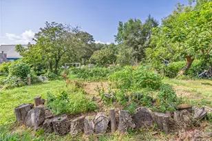23 Northview St, Asheville, NC 28801 - Photo 23