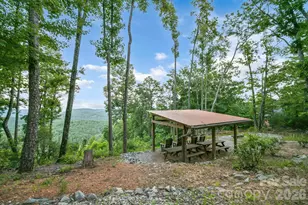 2235 Buck Mountain Rd, Purlear, NC 28665 - Photo 47