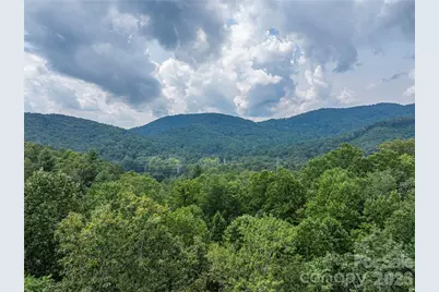 116 Ivy Road, Mills River, NC 28759 - Photo 3