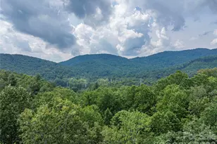 116 Ivy Rd, Mills River, NC 28759 - Photo 3