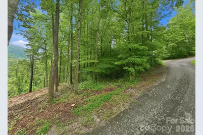 193 Fern Cove Lane, Gerton, NC 28735 - Photo 11