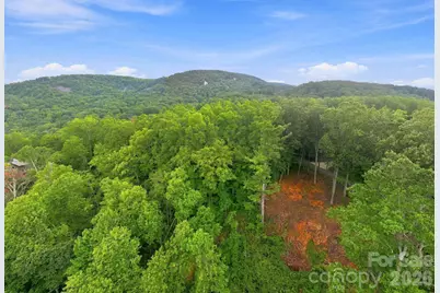 193 Fern Cove Lane, Gerton, NC 28735 - Photo 7
