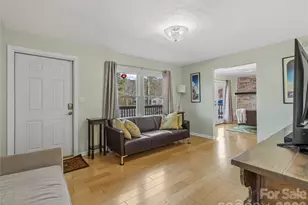 435 Thermal View Dr, Tryon, NC 28782 - Photo 5