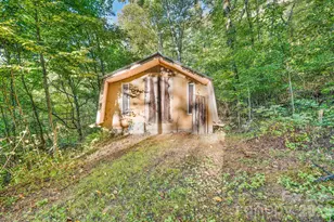 74 Lanzi Ledge Rd, Leicester, NC 28748 - Photo 11