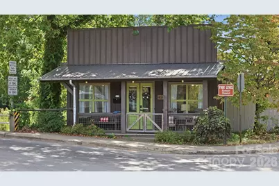 313 Depot Street, Waynesville, NC 28786 - Photo 3