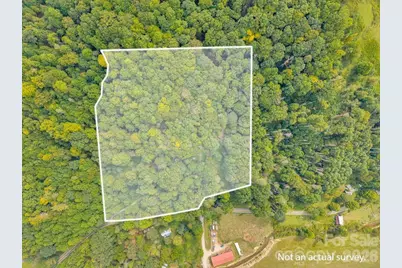 1768 Beaver Dam Road, Vilas, NC 28692 - Photo 3
