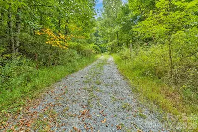 1768 Beaver Dam Road, Vilas, NC 28692 - Photo 5
