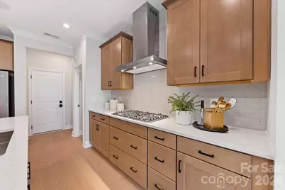 229 Landy Street, Fort Mill, SC 29715 - Photo 13