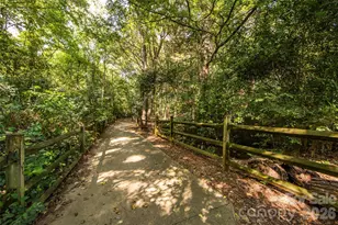 2624 Lawton Bluff Rd, Charlotte, NC 28226 - Photo 45