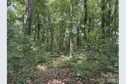 809 2nd Street SE, Conover, NC 28613 - Photo 3